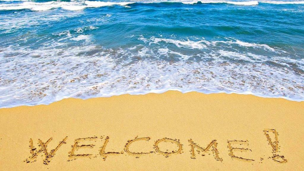 דייטונה ביץ' Vacation In Comfort And Luxury - 1 Bedroom Direct Oceanfront - Wyndham Ocean Walk Resort 1007 מראה חיצוני תמונה